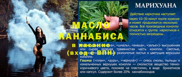 сатива Аркадак