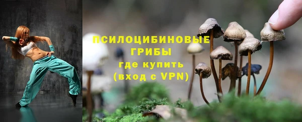 а пвп мука Арсеньев