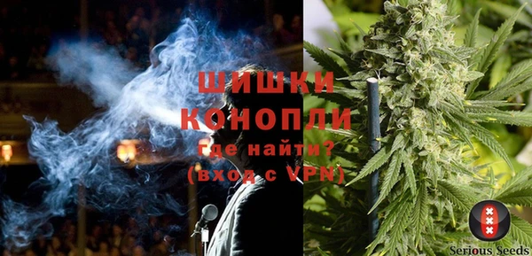 сатива Аркадак