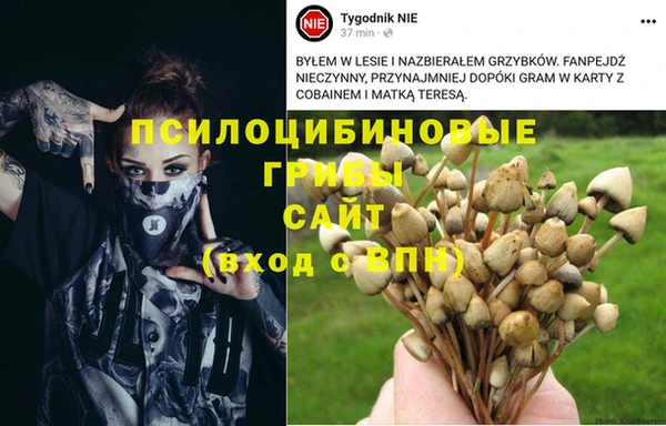 ГАЛЛЮЦИНОГЕННЫЕ ГРИБЫ Армянск