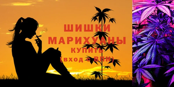 сатива Аркадак